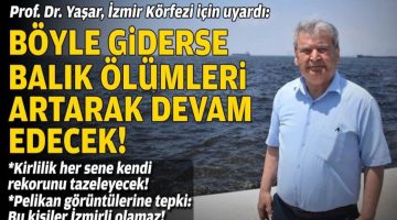 Prof. Dr. Yaşar, İzmir Körfezi için uyardı: Böyle giderse balık ölümleri artarak devam edecek!